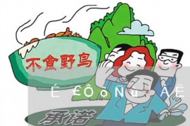 北京如何避免债务纠纷？专业追讨公司教您应对之策